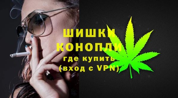 сатива Алзамай